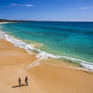 Meet your Posher, Nguyen